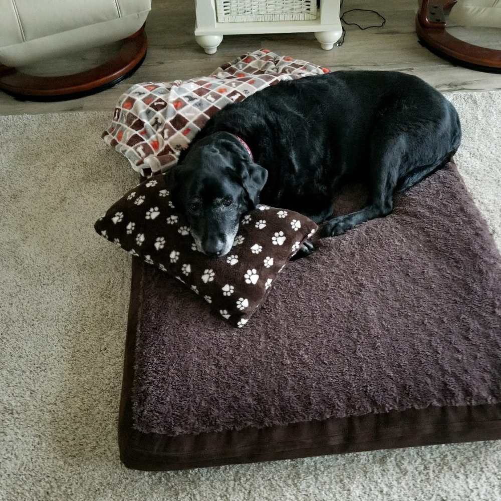 Meet your Posher, Dale